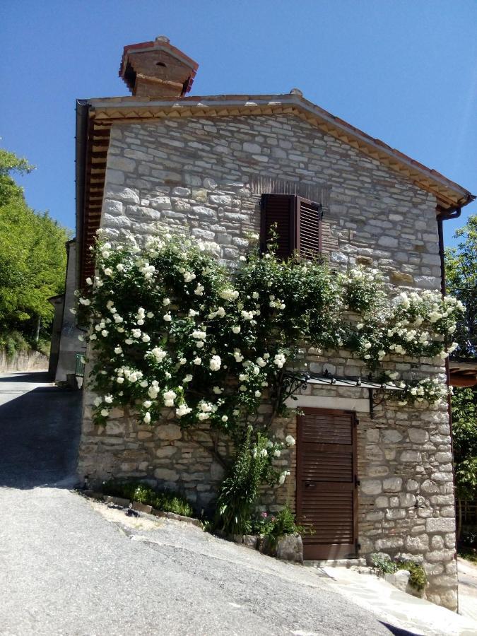 Bed&Breakfast SENTIERO 54 Cantiano Exterior foto