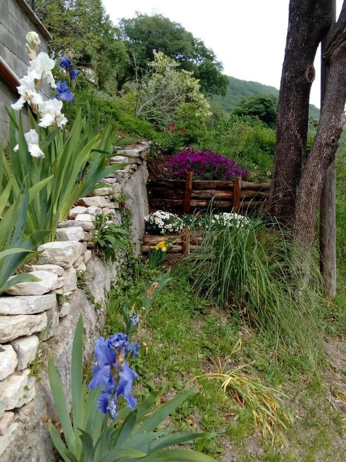 Bed&Breakfast SENTIERO 54 Cantiano Exterior foto
